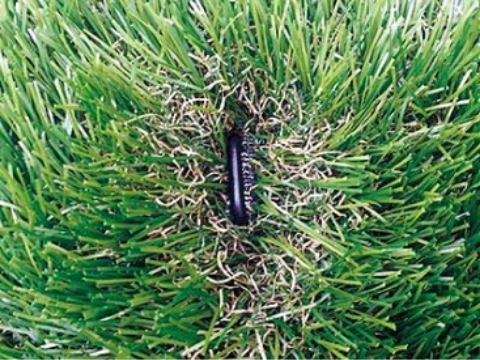 ボンド接着後、パイルを挟まないようピンを溝に沿って10本／㎡で固定していきます。（16mmタイプには専用T字ピンをご使用ください）