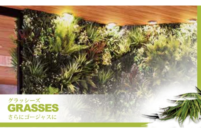 グラッシーズ