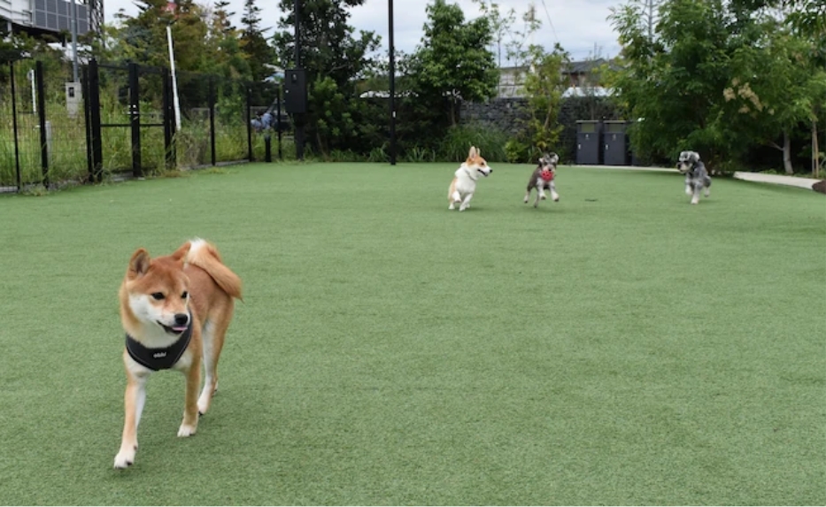 高い機能性で安心・安全をお届けします