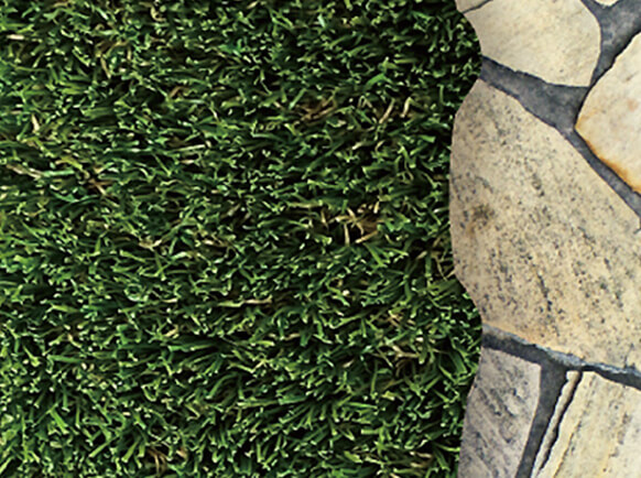 リアリーターフ®︎ヨーロピアンロング®︎ゴールド