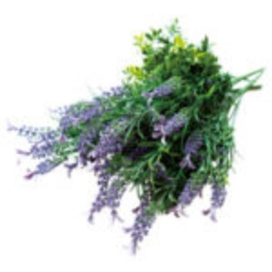 カラーボックス（ラベンダー）