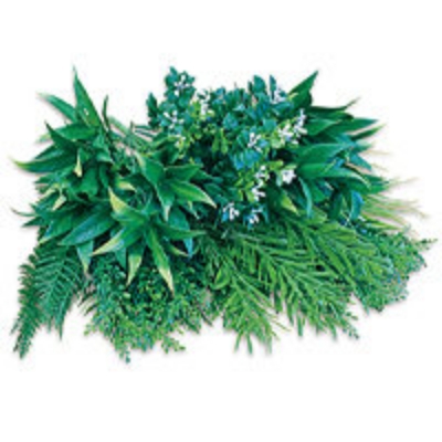 カラーボックス（ラッシュグリーンセット）