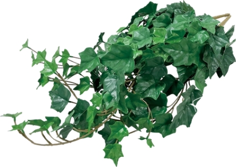 カラーボックス（アイビーセット）