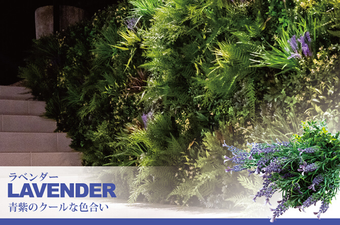 ラベンダー