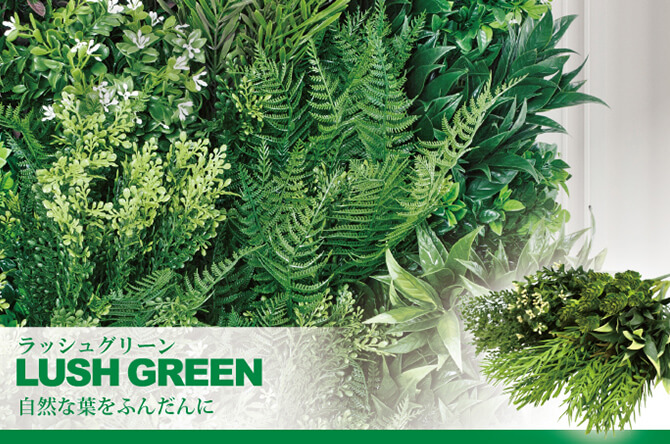 ラッシュグリーン