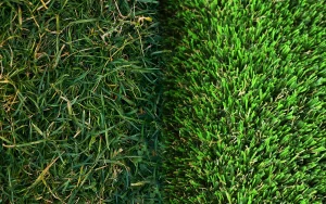 天然芝と人工芝